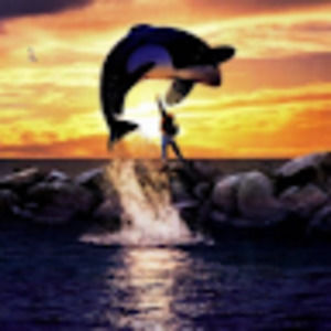 Meet your Posher, Lukas